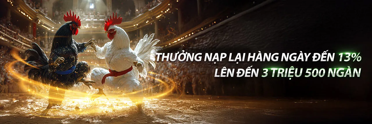 SP666 Đá Gà Trực Tuyến